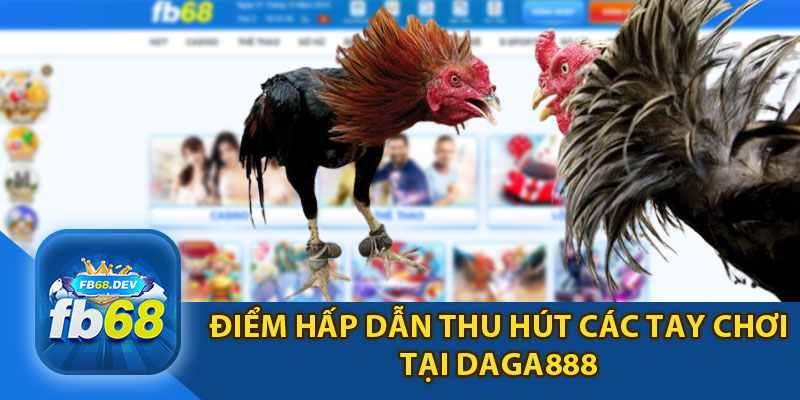 Điểm Hấp Dẫn Thu Hút Các Tay Chơi Tại Daga888