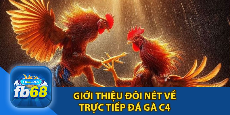 Giới Thiệu Đôi Nét Về Trực Tiếp Đá Gà C4