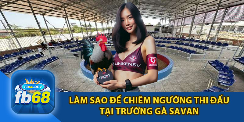 Làm Sao Để Chiêm Ngưỡng Thi Đấu Tại Trường Gà Savan