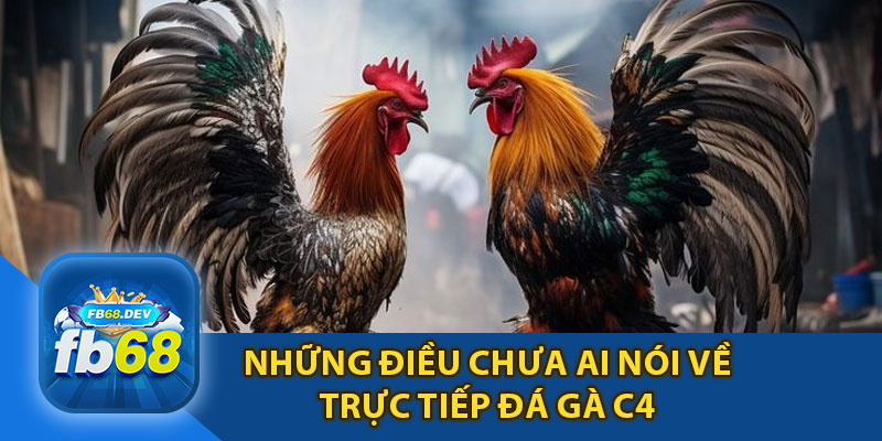 Những Điều Chưa Được Tiết Lộ Về Trực Tiếp Đá Gà C4