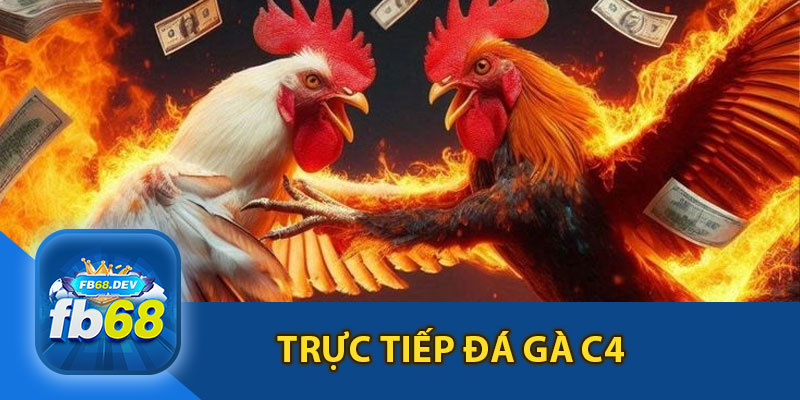 Trực Tiếp Đá Gà C4