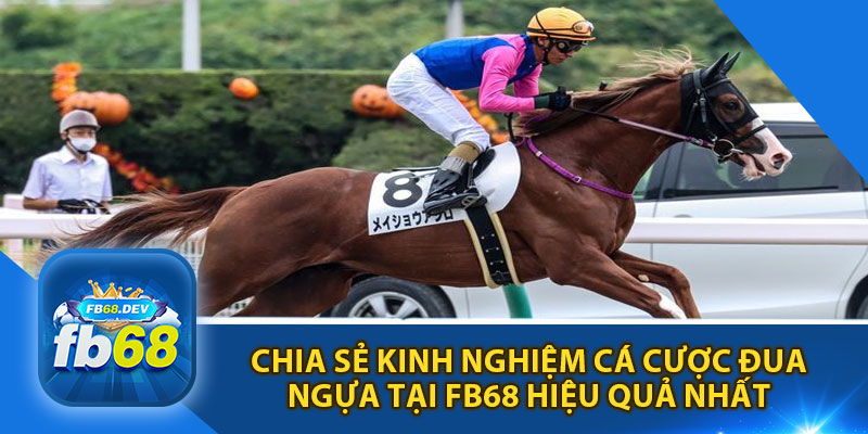 Chia Sẻ Kinh Nghiệm Cá Cược Tại Fb68 Hiệu Quả